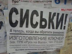 Сиськи